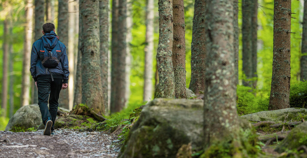 Hiking in the Woods